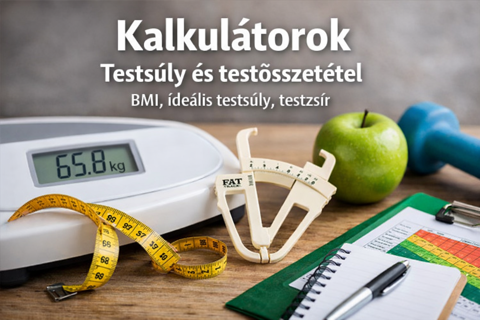 Testsúly és testösszetétel