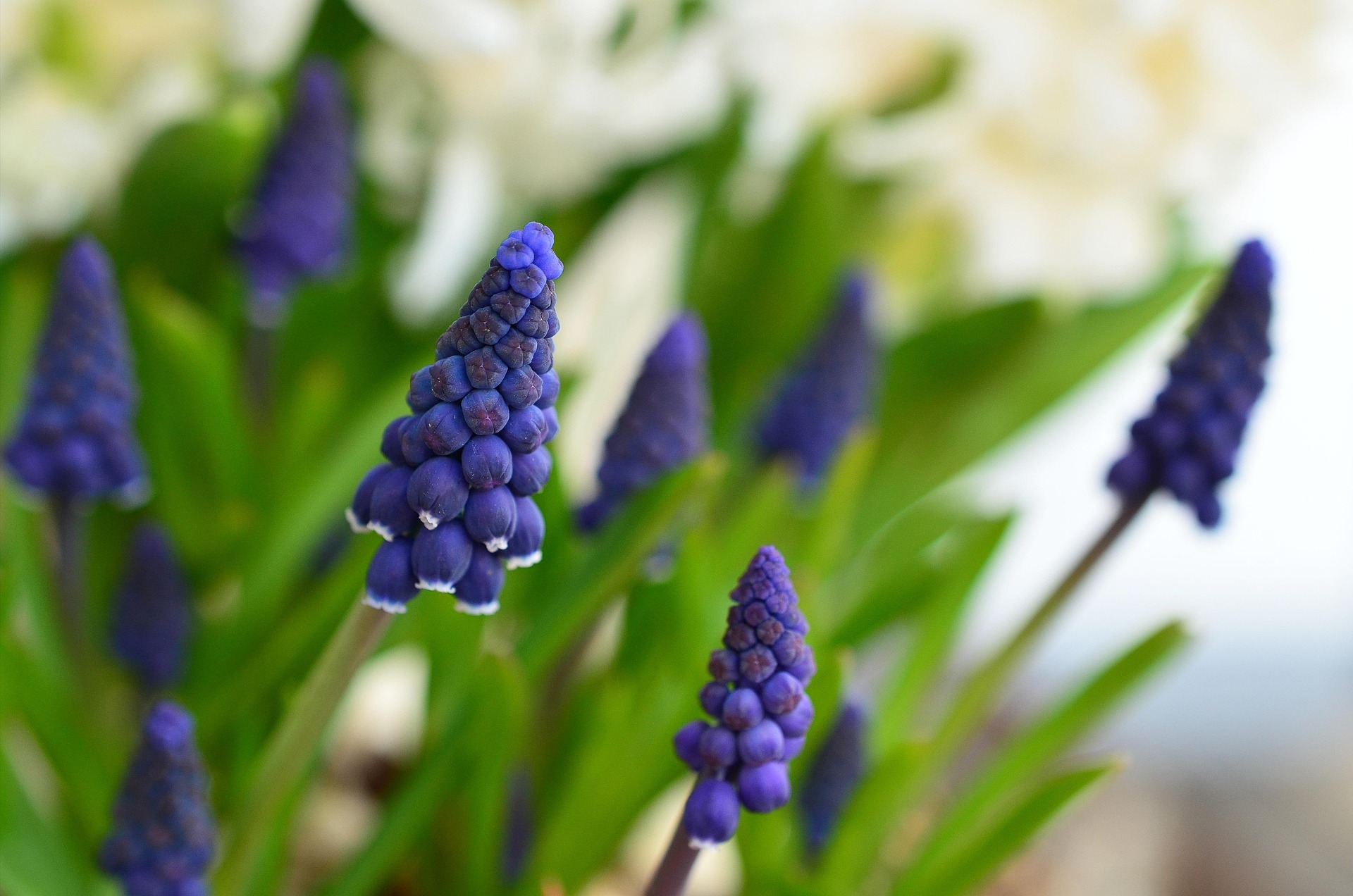 Tudatos diéta, mérhetően.