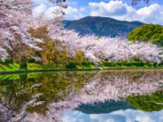 Miért fontos a tavaszi méregtelenítés? Megadjuk a választ pár isteni recepttel