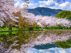 Miért fontos a tavaszi méregtelenítés? Megadjuk a választ pár isteni recepttel