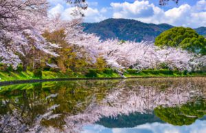 Miért fontos a tavaszi méregtelenítés? Megadjuk a választ pár isteni recepttel